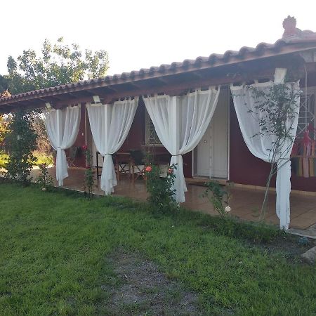 Olive Garden Guest House Kyparissia Luaran gambar