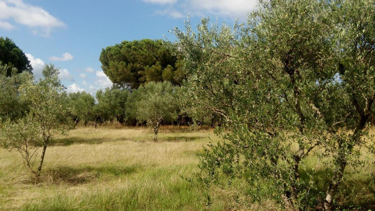 Olive Garden Guest House Kyparissia Luaran gambar