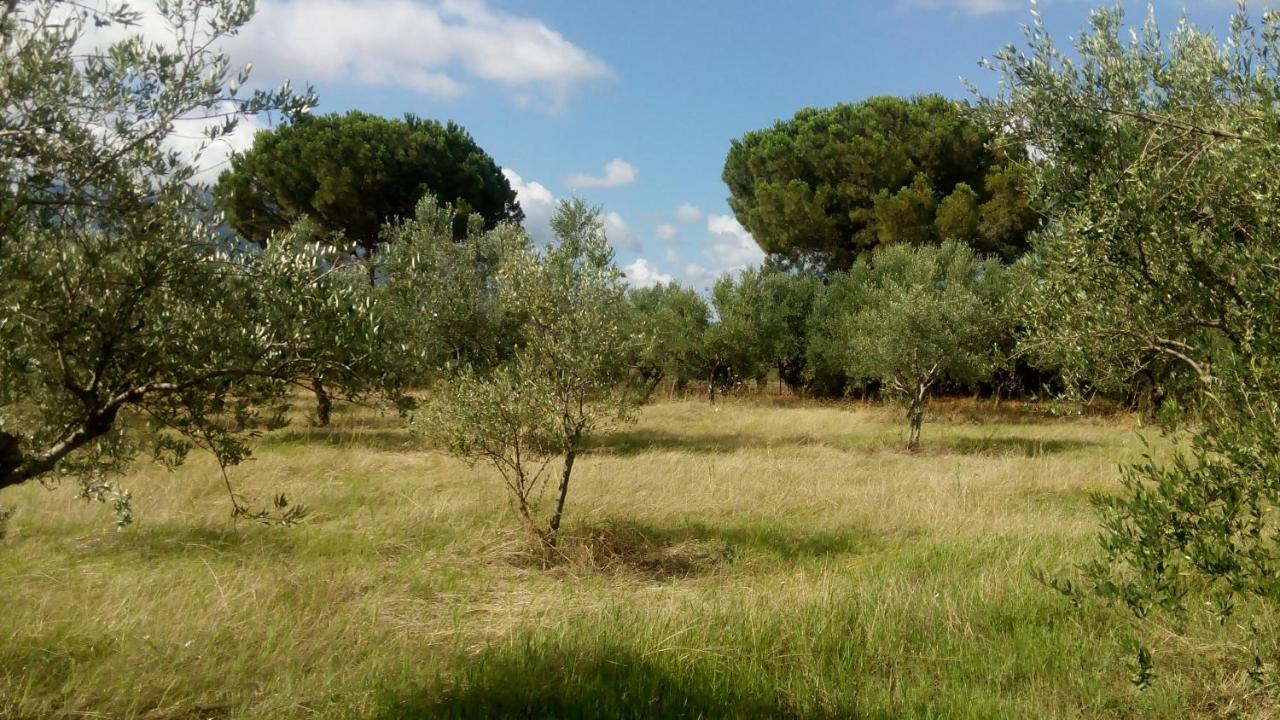 Olive Garden Guest House Kyparissia Luaran gambar