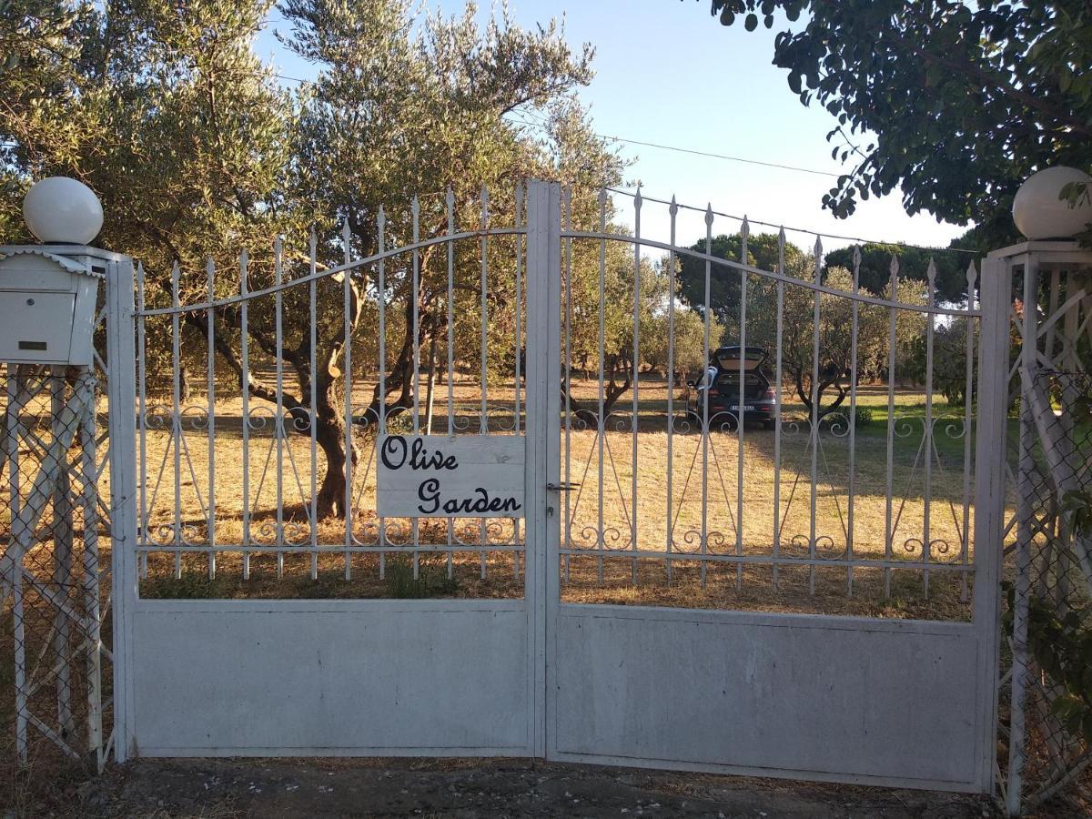 Olive Garden Guest House Kyparissia Luaran gambar