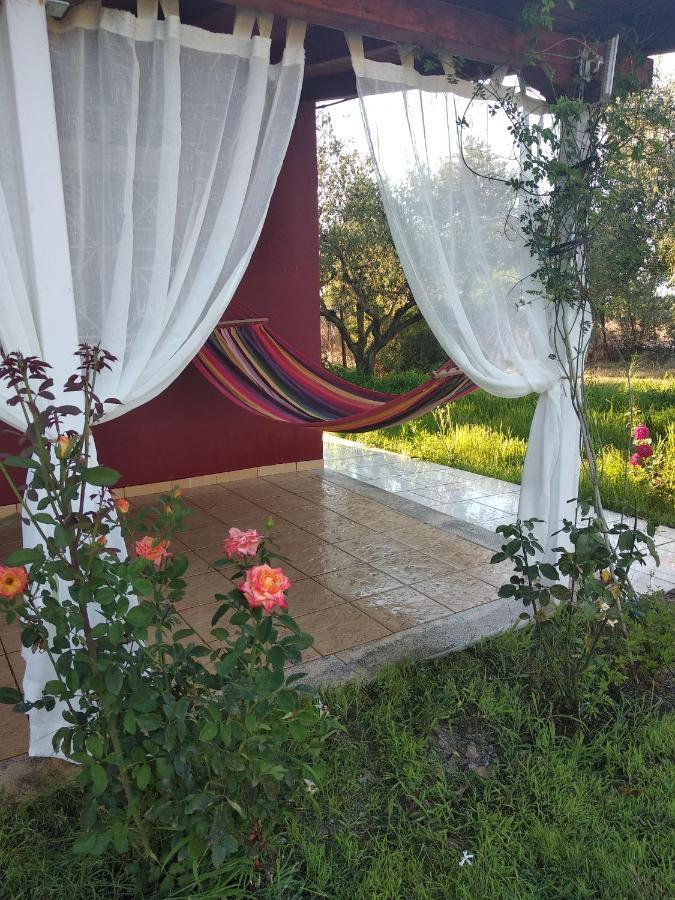 Olive Garden Guest House Kyparissia Luaran gambar