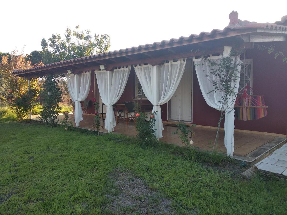 Olive Garden Guest House Kyparissia Luaran gambar